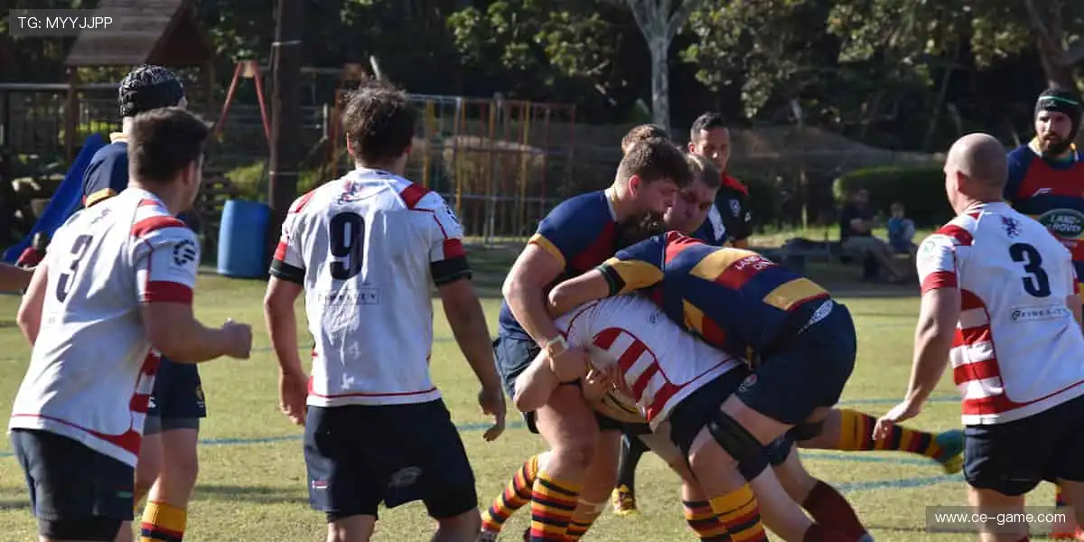 🎙️深度解读，冠军之路！🏆揭秘赛场背后的热血与汗水！